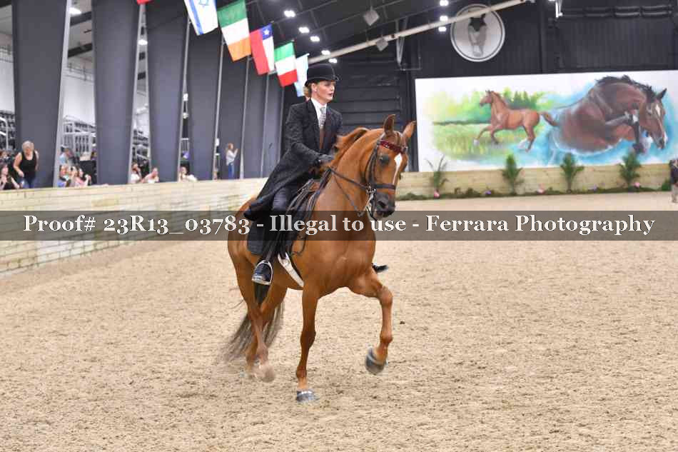 Proof 23R13_03783