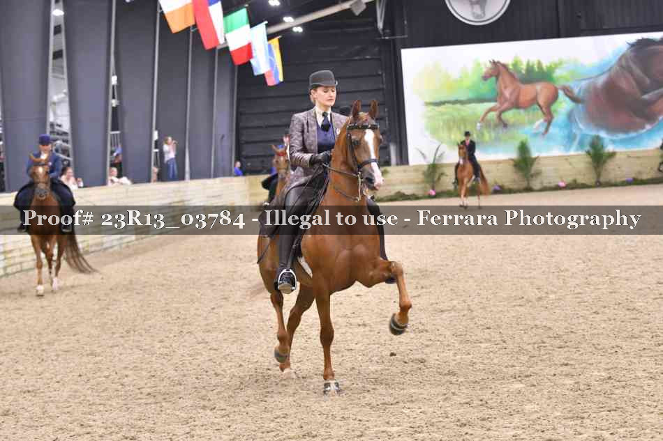Proof 23R13_03784