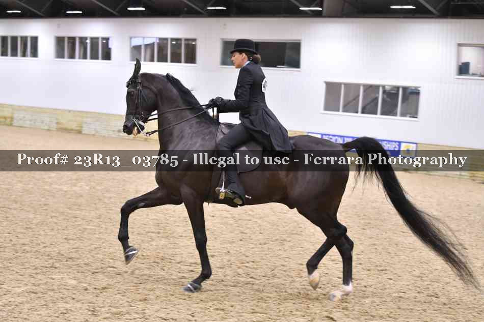 Proof 23R13_03785