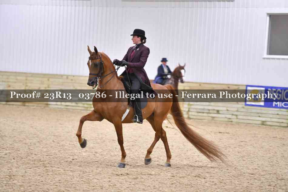 Proof 23R13_03786