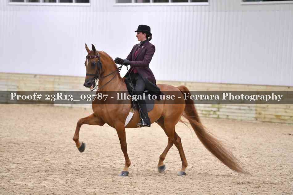 Proof 23R13_03787
