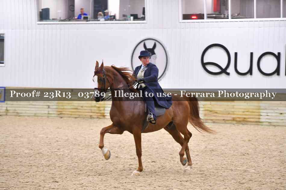 Proof 23R13_03789