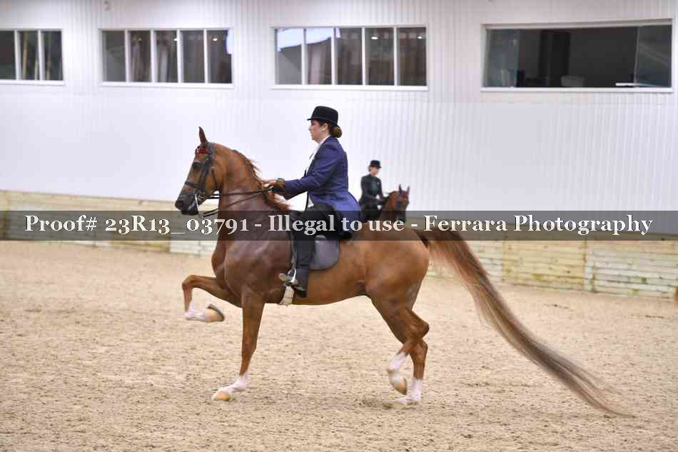 Proof 23R13_03791