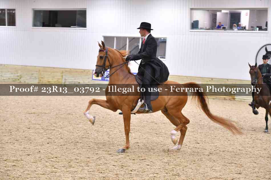Proof 23R13_03792