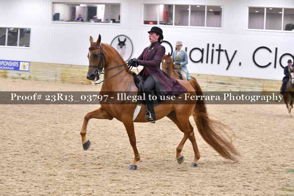 Proof 23R13_03797