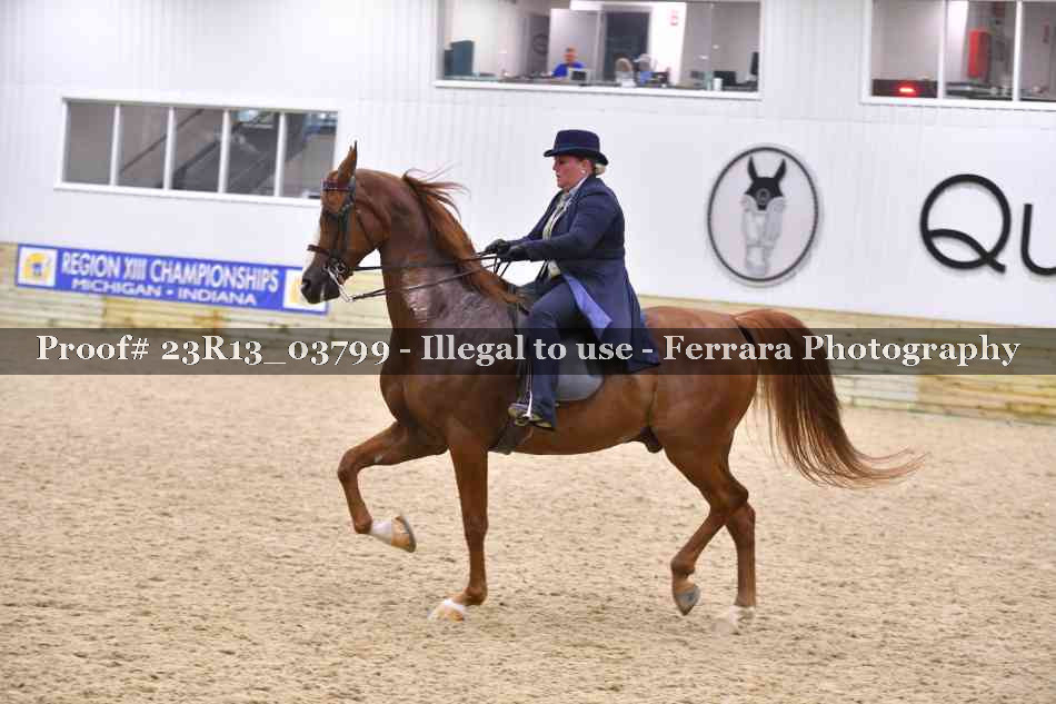 Proof 23R13_03799