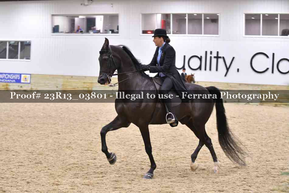 Proof 23R13_03801