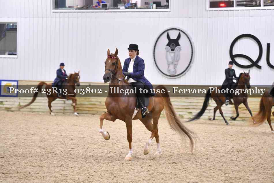 Proof 23R13_03802