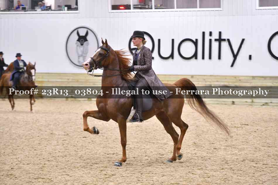 Proof 23R13_03804