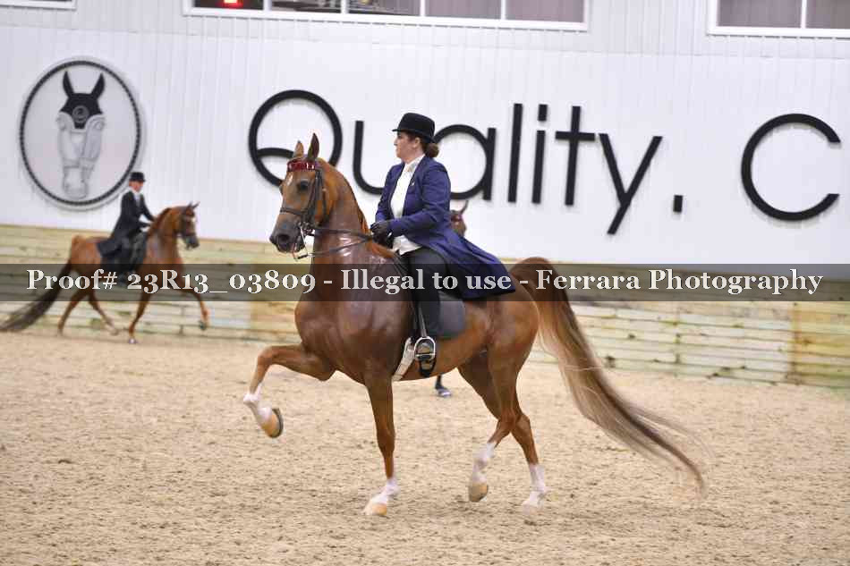 Proof 23R13_03809