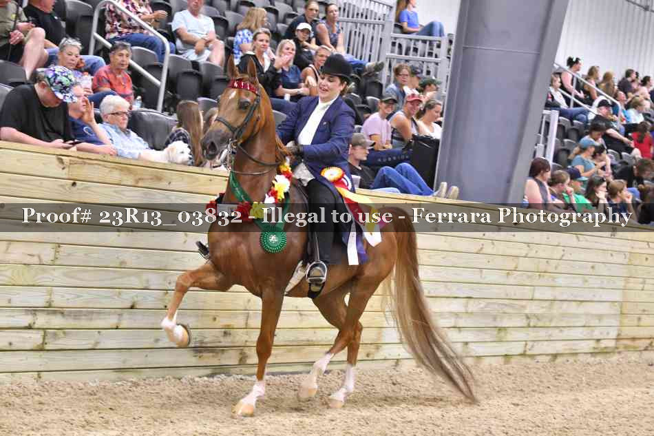 Proof 23R13_03832