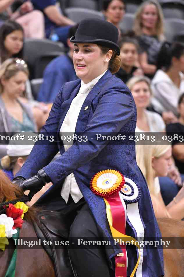 Proof 23R13_03833