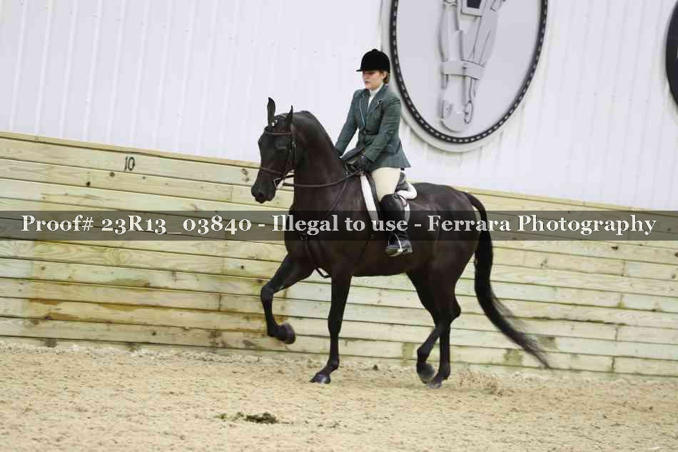 Proof 23R13_03840