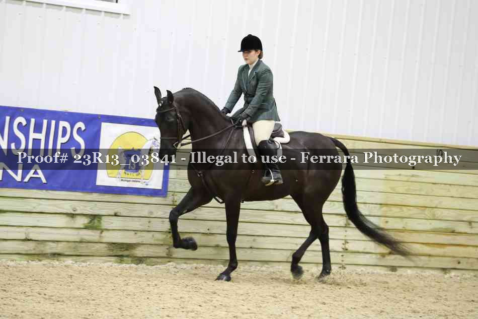 Proof 23R13_03841