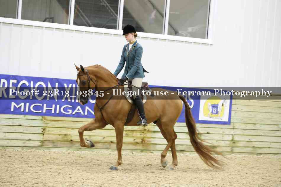 Proof 23R13_03845