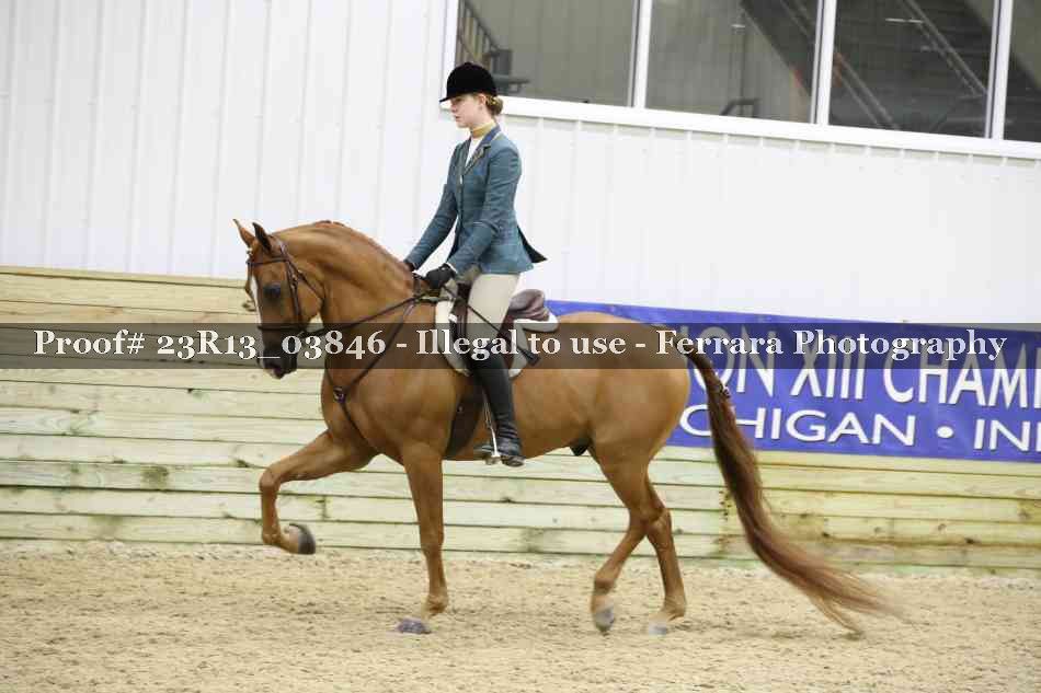 Proof 23R13_03846