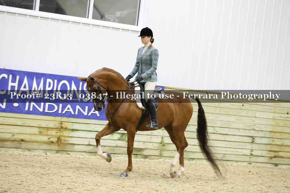 Proof 23R13_03847