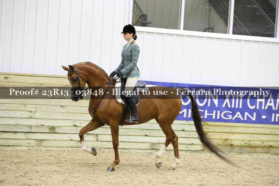 Proof 23R13_03848