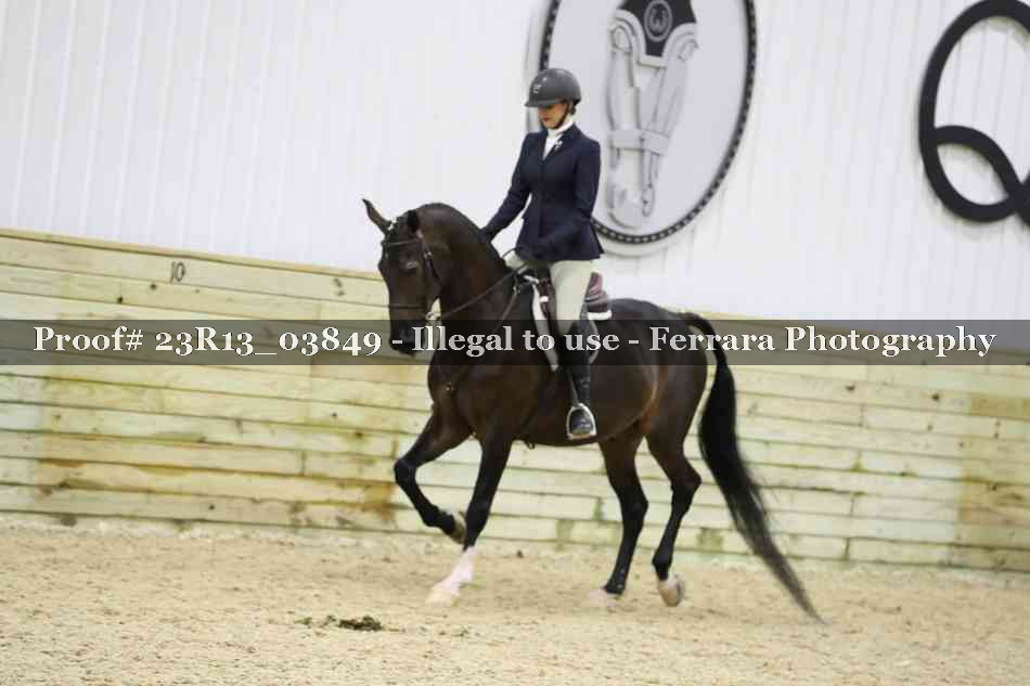 Proof 23R13_03849