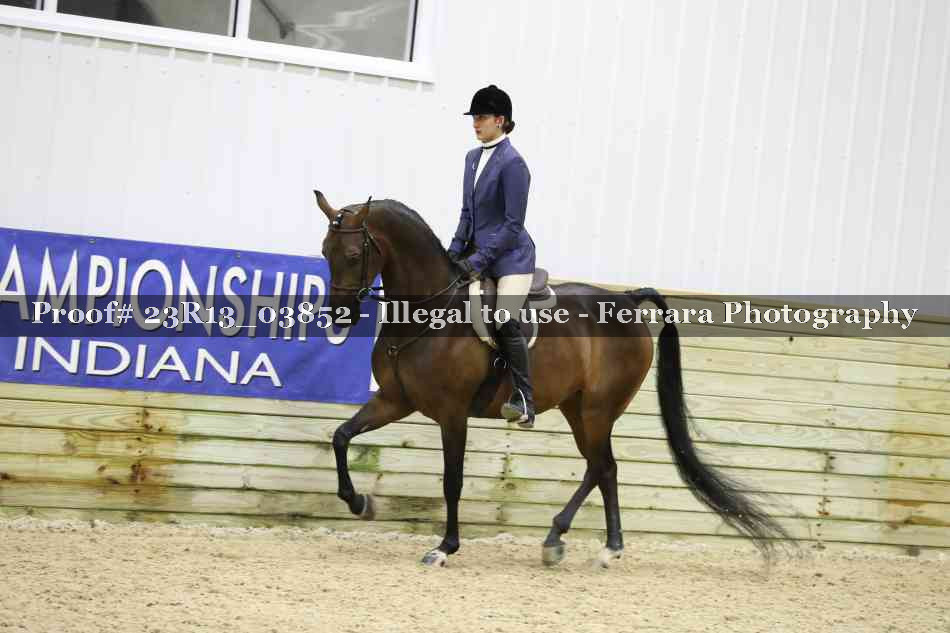 Proof 23R13_03852
