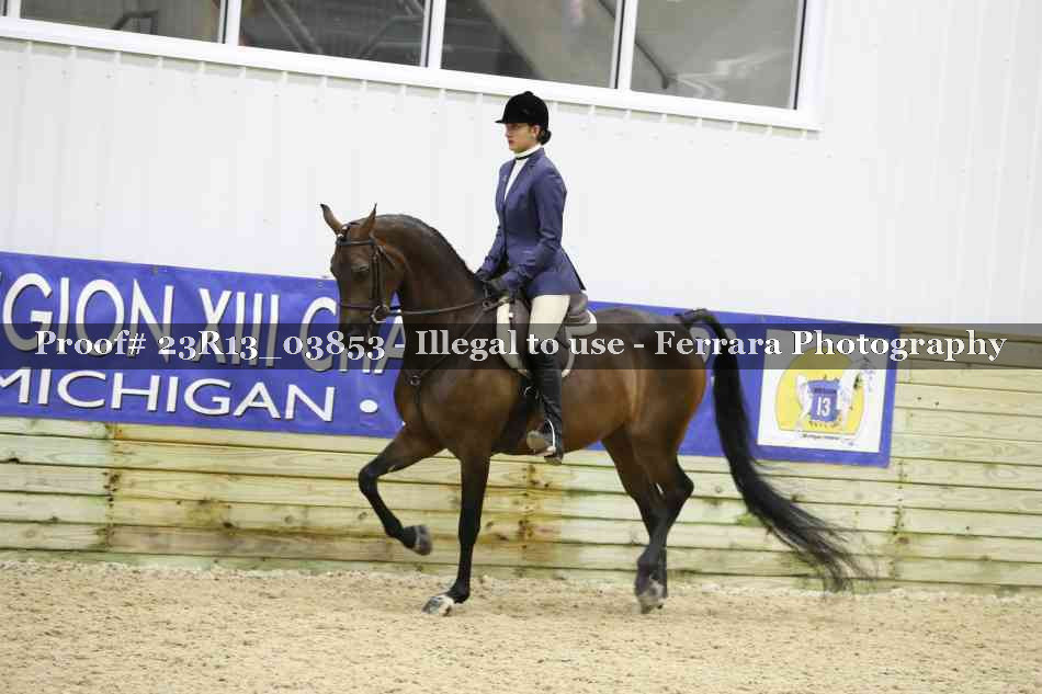 Proof 23R13_03853