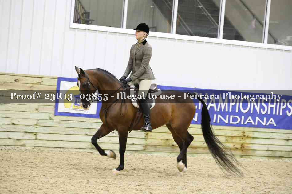 Proof 23R13_03855