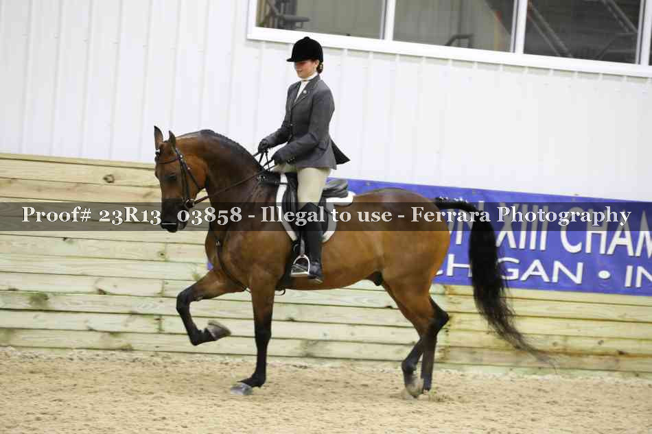 Proof 23R13_03858