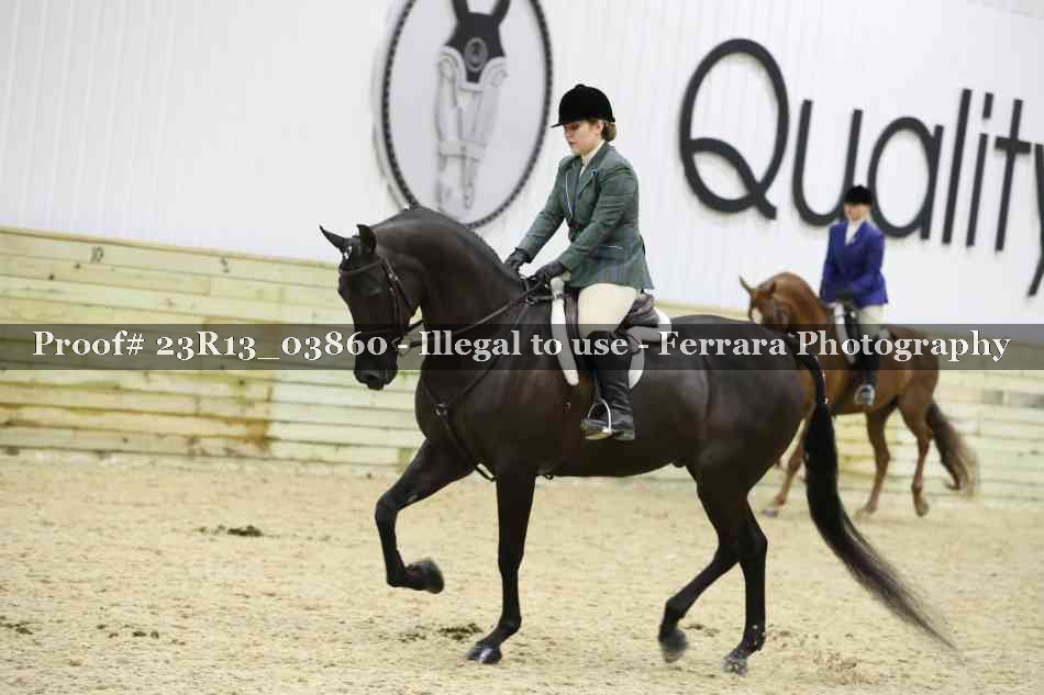 Proof 23R13_03860