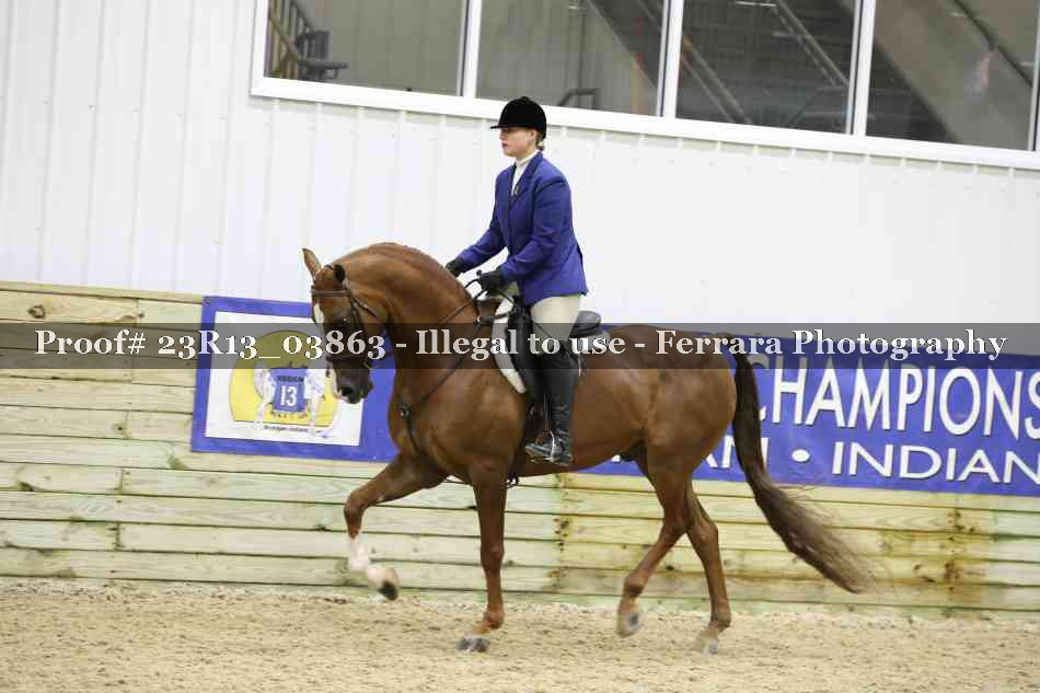 Proof 23R13_03863