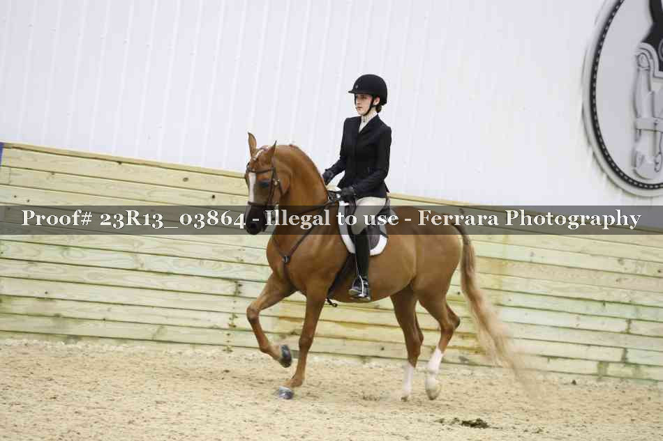 Proof 23R13_03864
