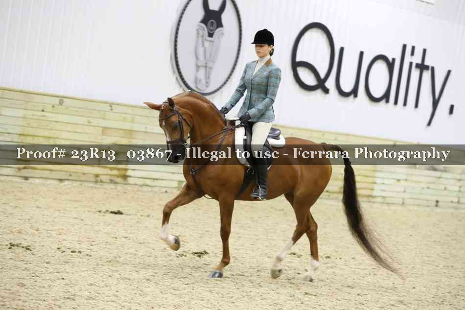 Proof 23R13_03867