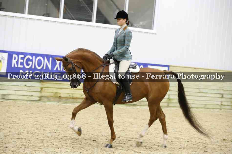Proof 23R13_03868