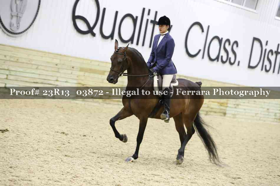 Proof 23R13_03872