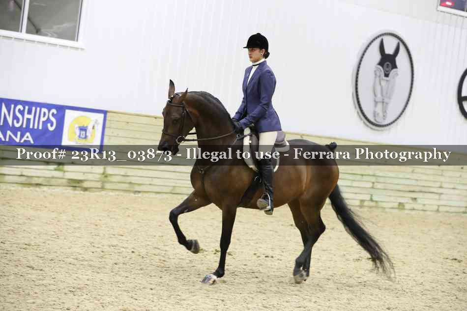 Proof 23R13_03873