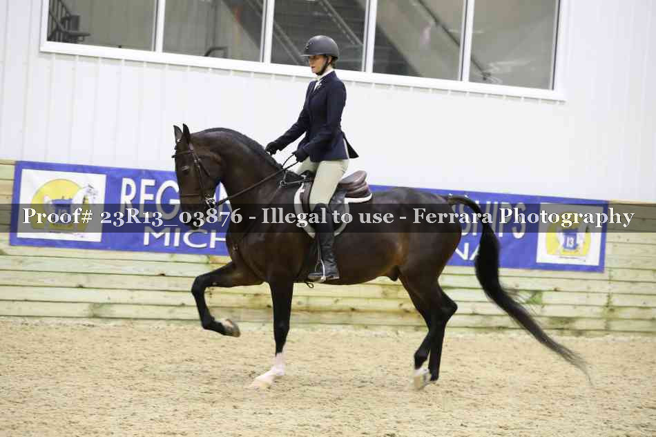Proof 23R13_03876