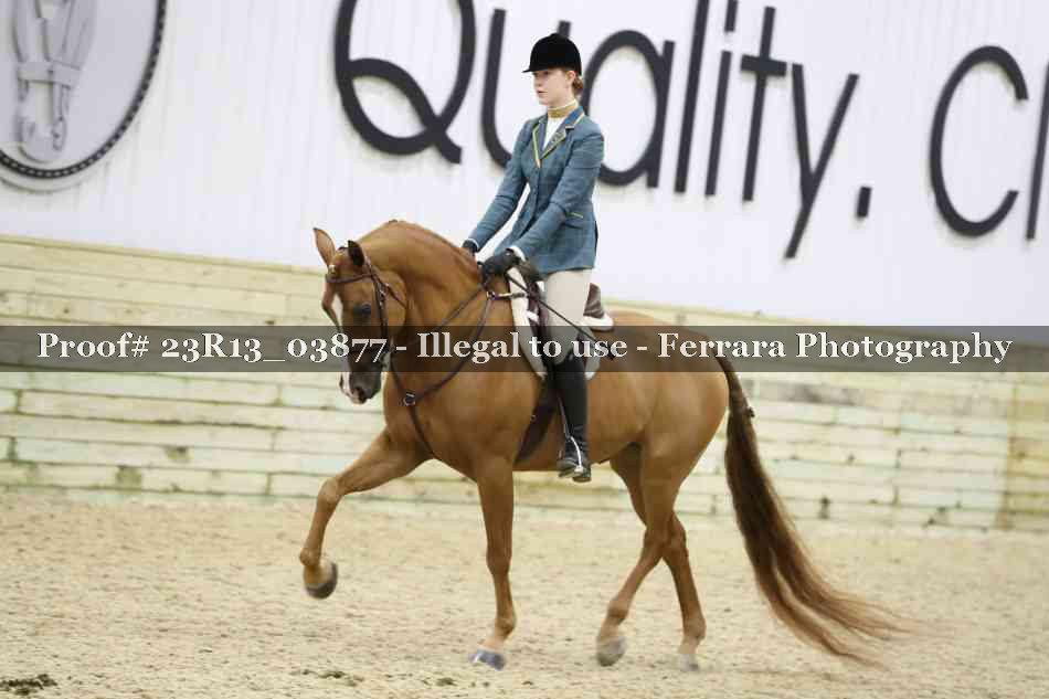Proof 23R13_03877