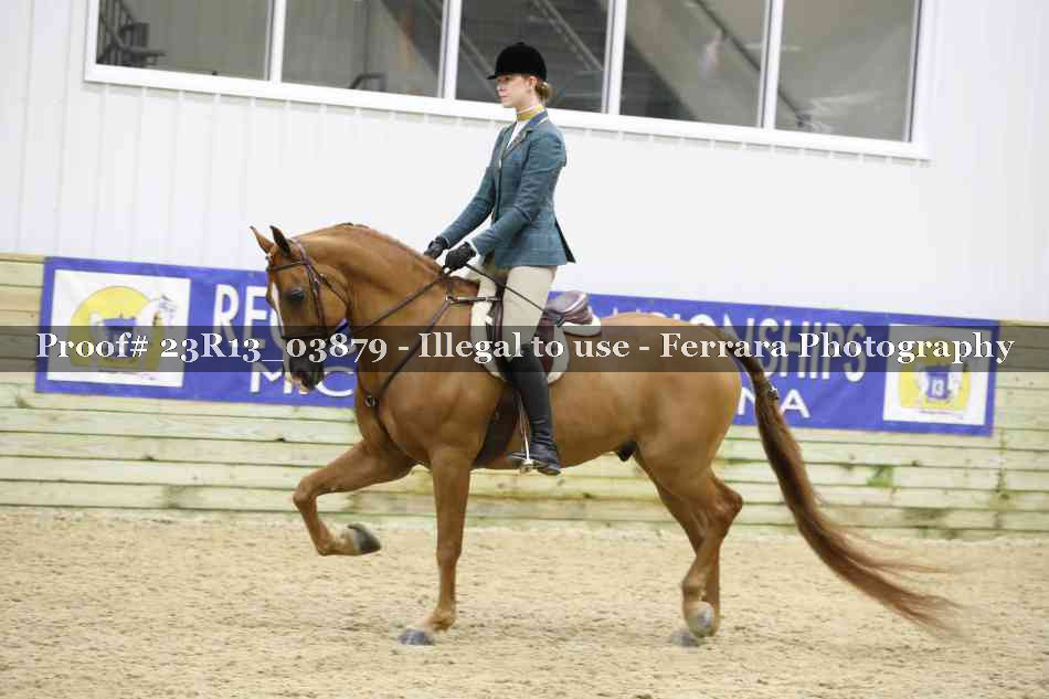 Proof 23R13_03879