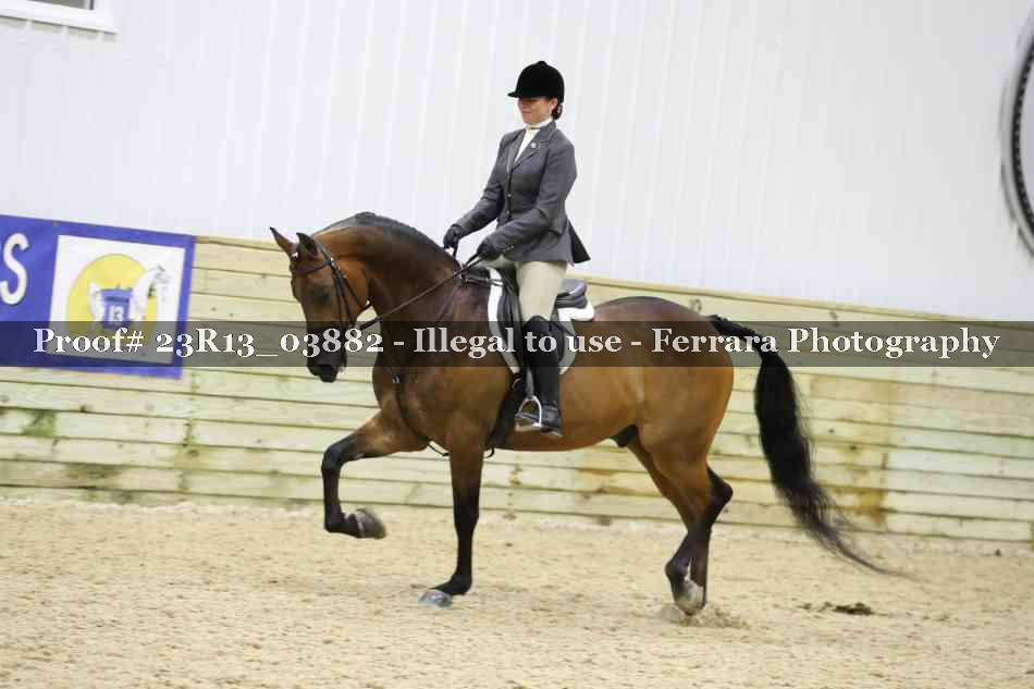 Proof 23R13_03882