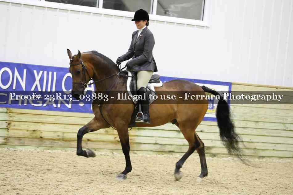 Proof 23R13_03883