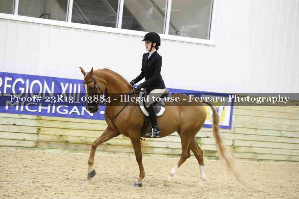 Proof 23R13_03884