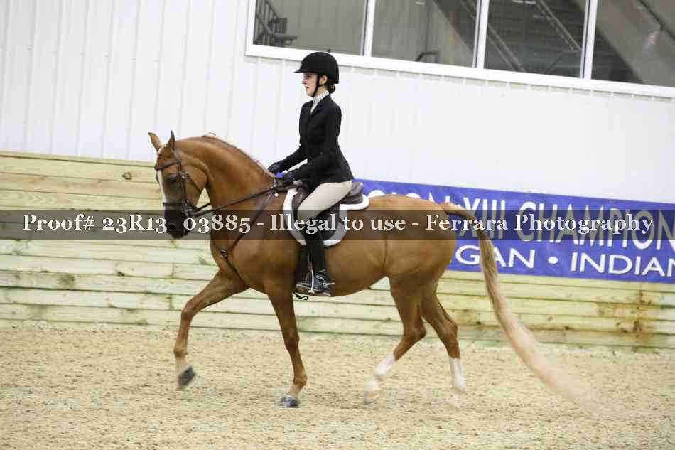 Proof 23R13_03885