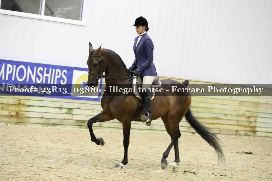 Proof 23R13_03886