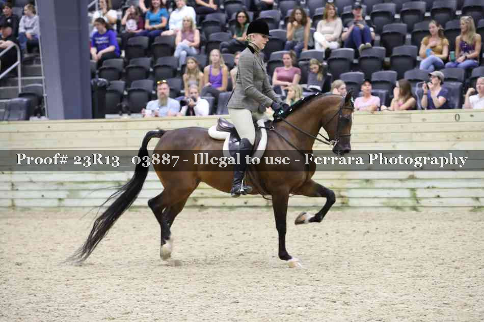 Proof 23R13_03887