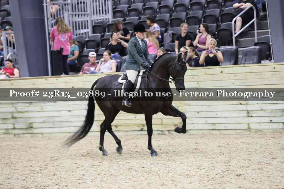 Proof 23R13_03889