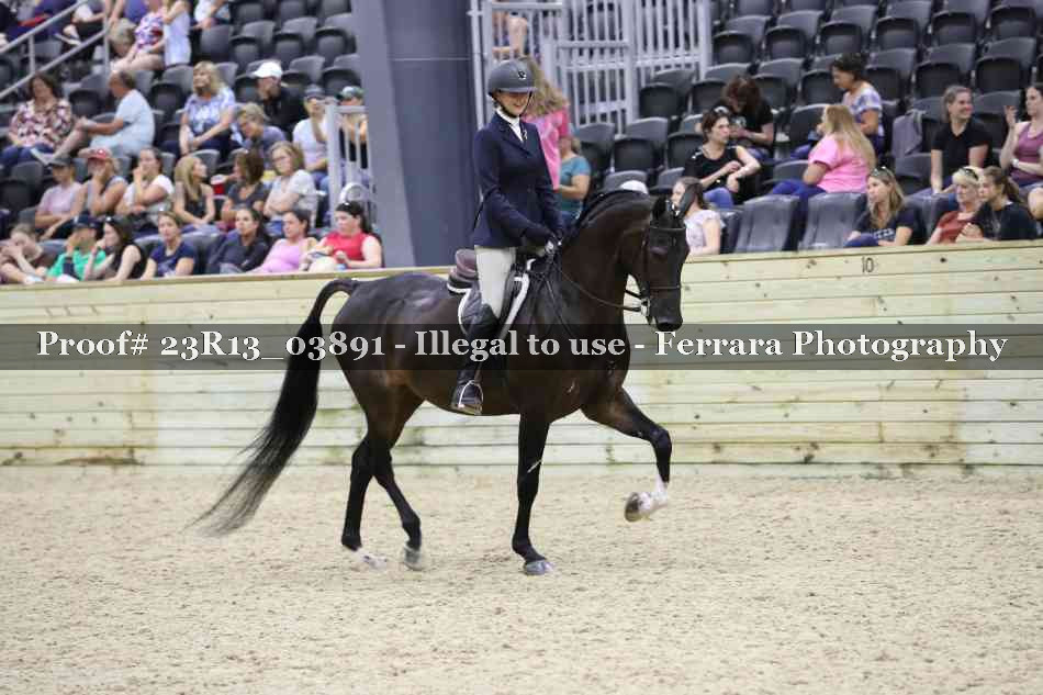 Proof 23R13_03891