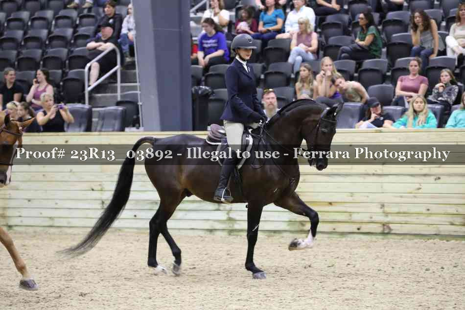 Proof 23R13_03892