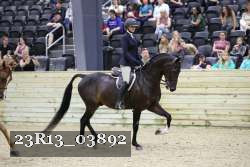 23R13_03892 proof