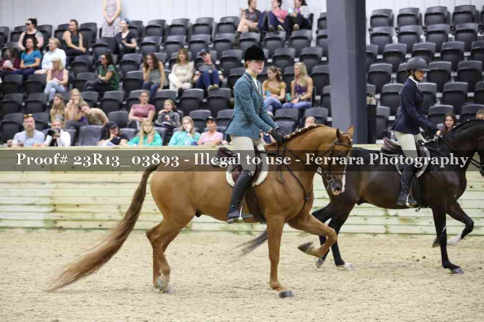 Proof 23R13_03893