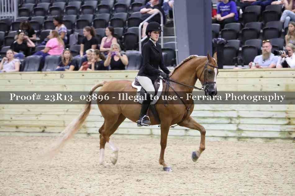 Proof 23R13_03896