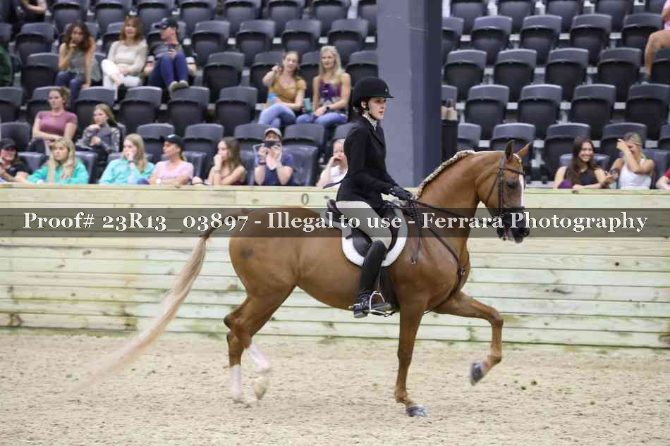 Proof 23R13_03897